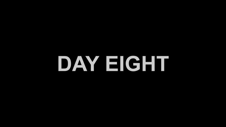 Day Eight