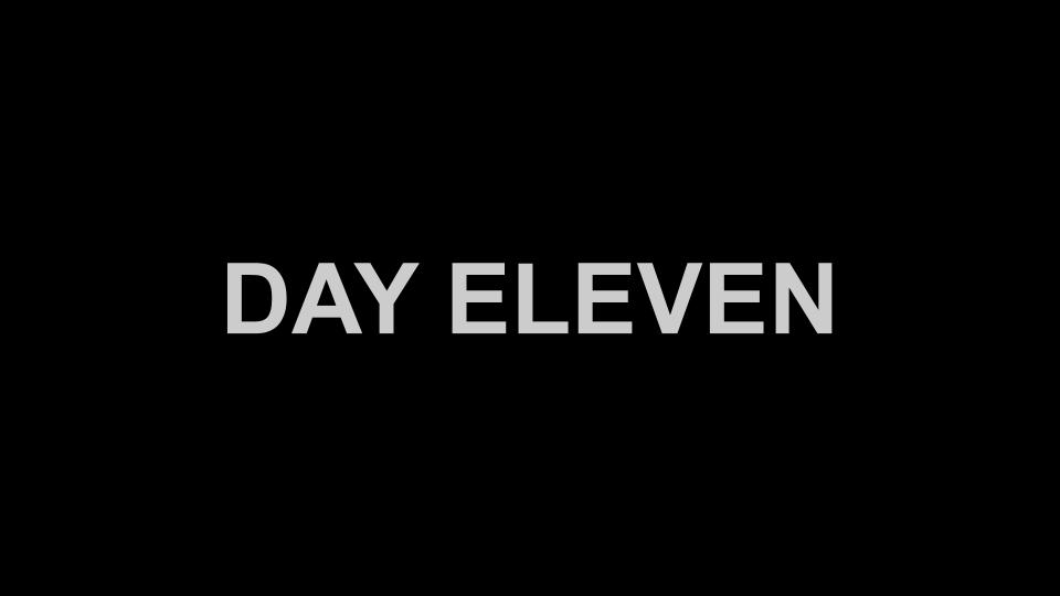 Day Eleven
