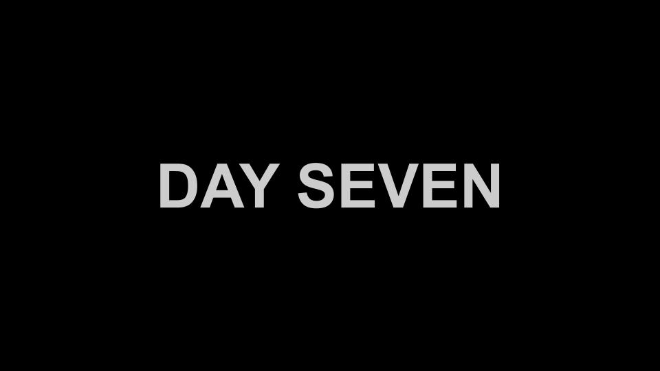 Day Seven