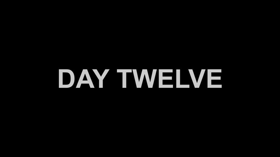 Day Twelve