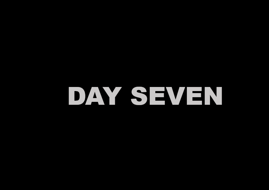 Day Seven